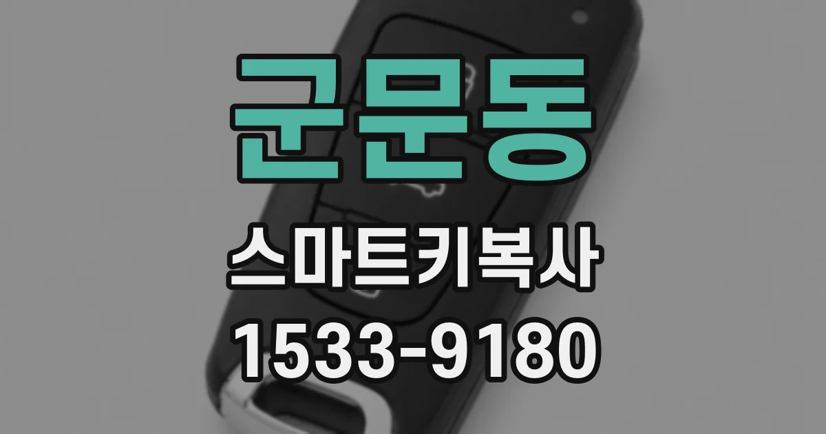 군문동 스마트키복사