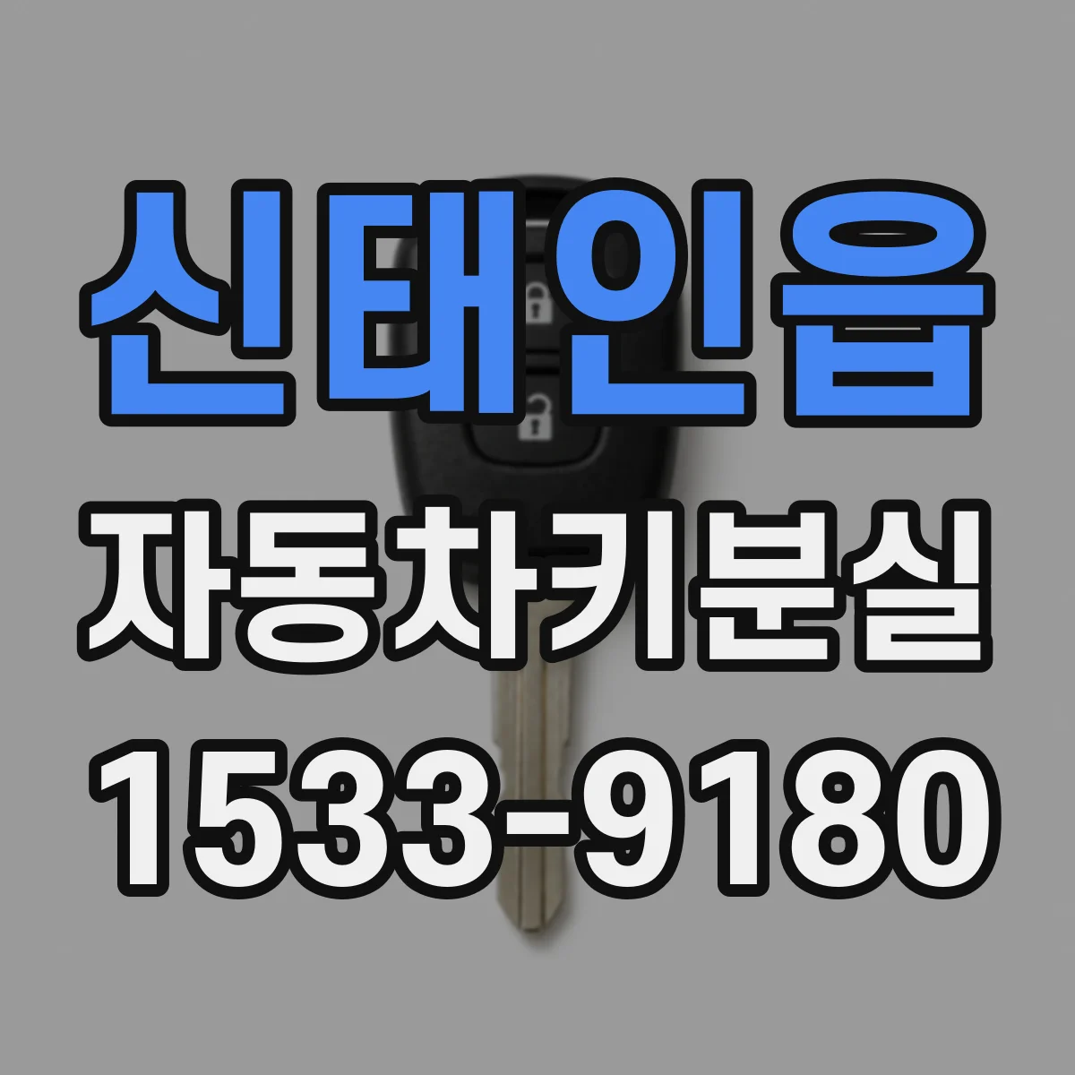 신태인읍 자동차키분실