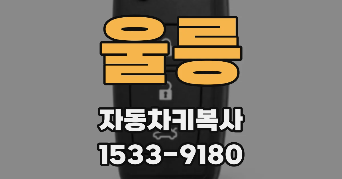 울릉 자동차키복사
