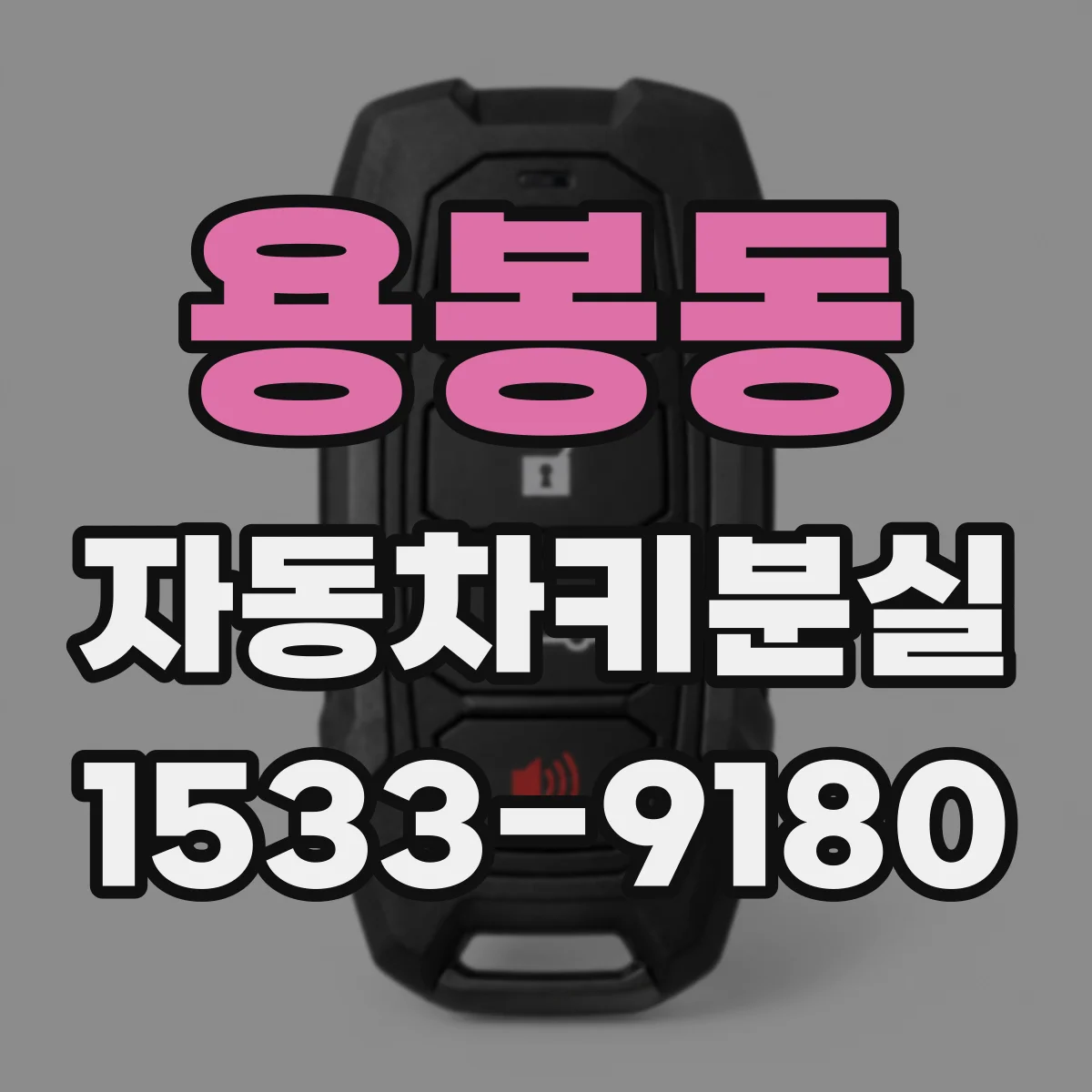 용봉동 자동차키분실