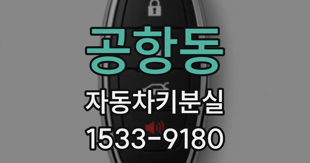 공항동 자동차키분실