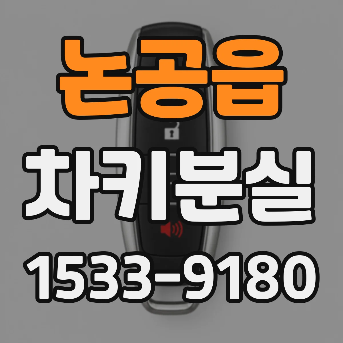 논공읍 차키분실