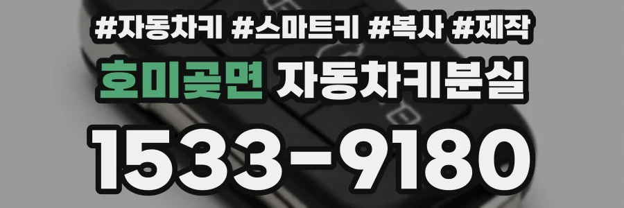 호미곶면 자동차키분실