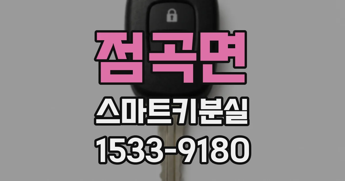 점곡면 스마트키분실