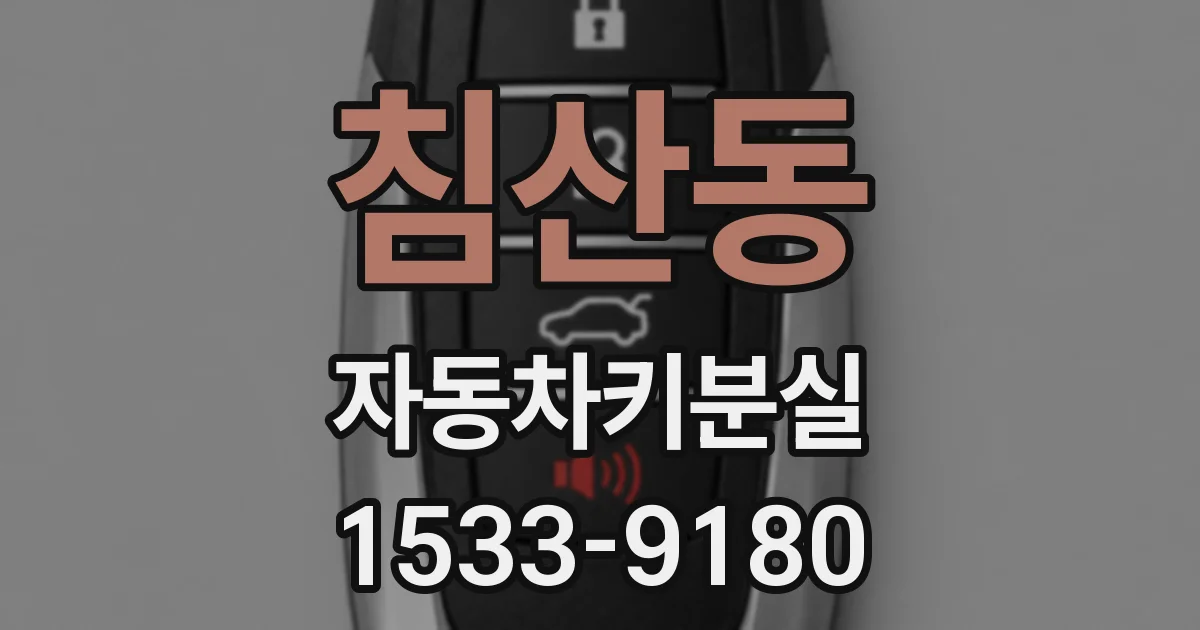 침산동 자동차키분실