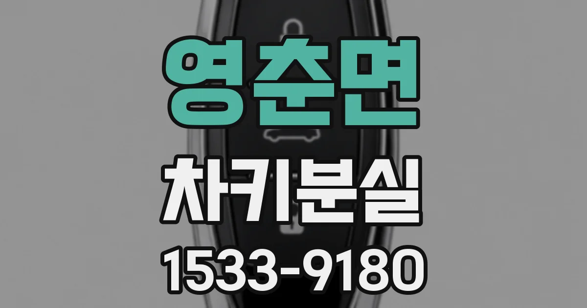 영춘면 차키분실