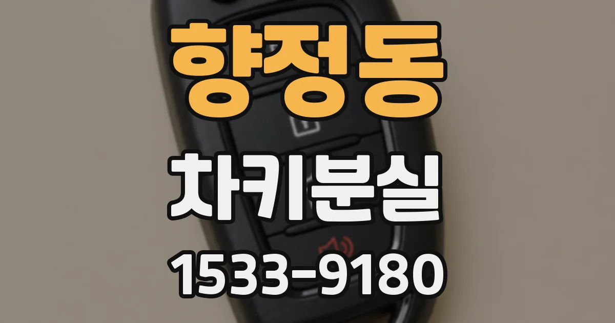 향정동 차키분실