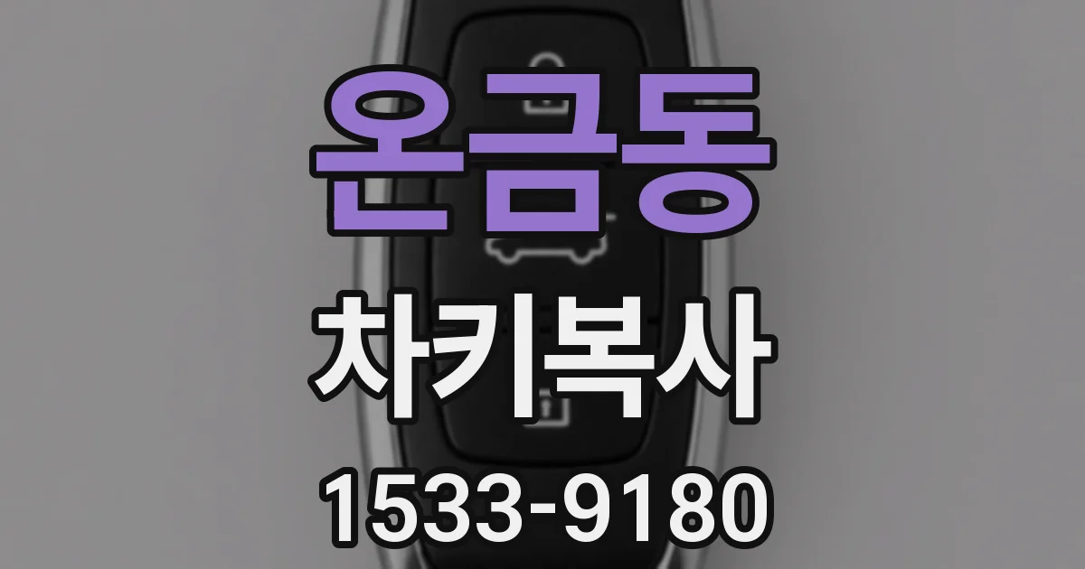 온금동 차키복사
