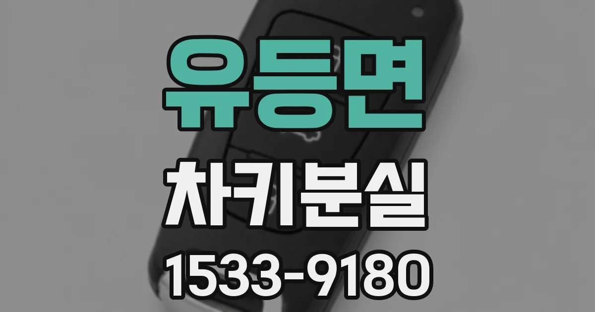 유등면 차키분실