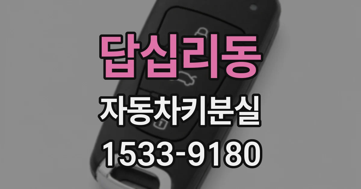 답십리동 자동차키분실