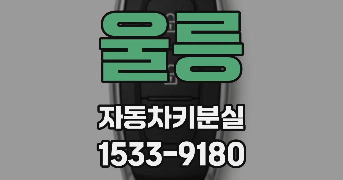 울릉 자동차키분실