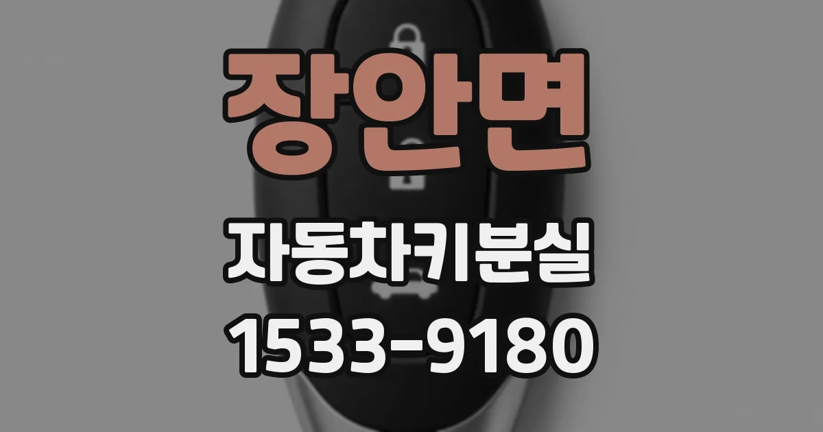 장안면 자동차키분실