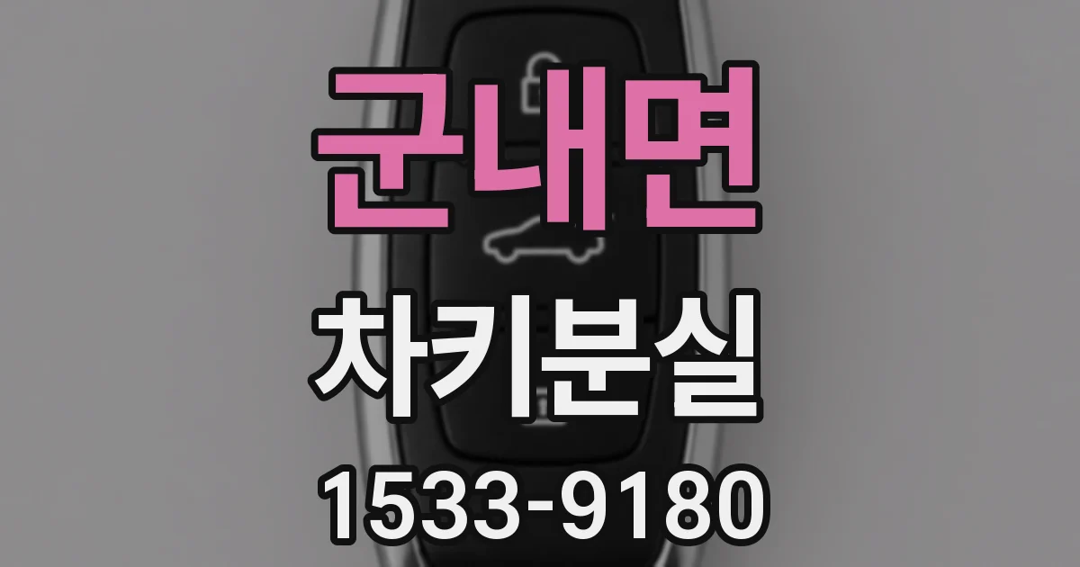 군내면 차키분실