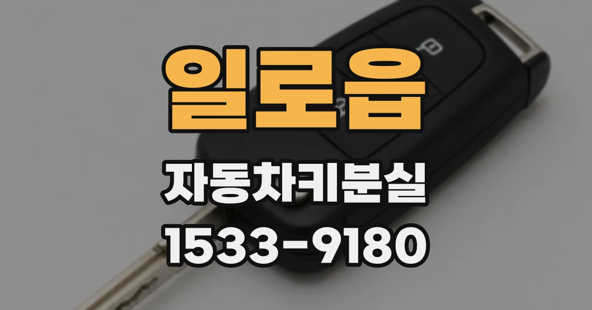일로읍 자동차키분실