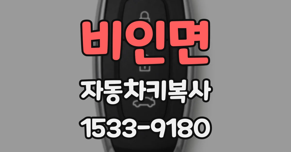 비인면 자동차키복사