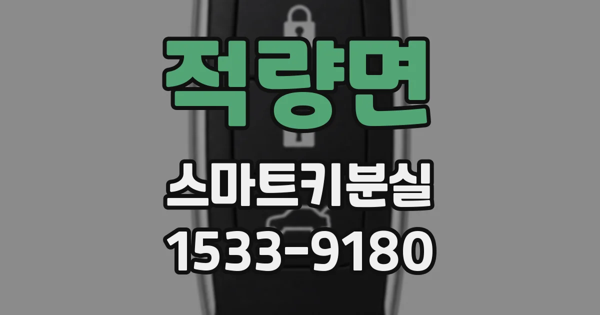 적량면 스마트키분실