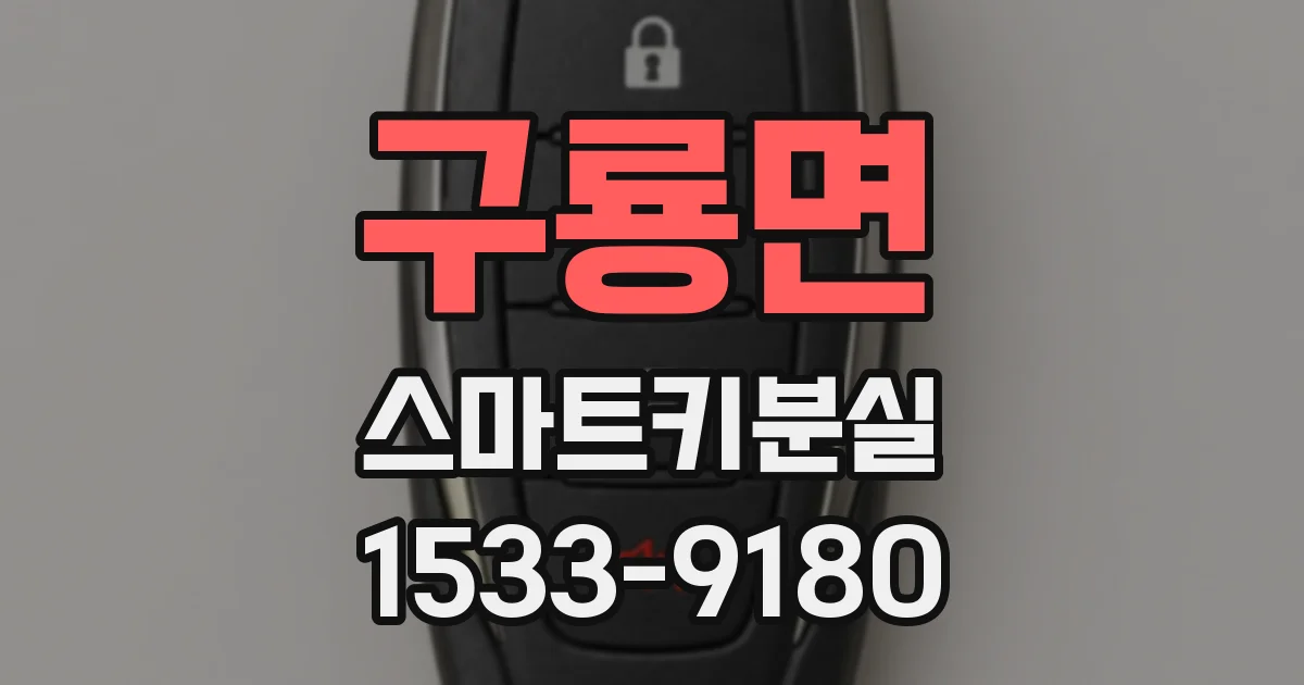 구룡면 스마트키분실