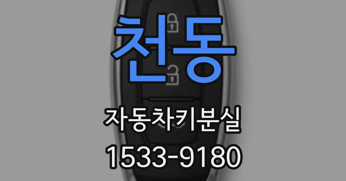 천동 자동차키분실