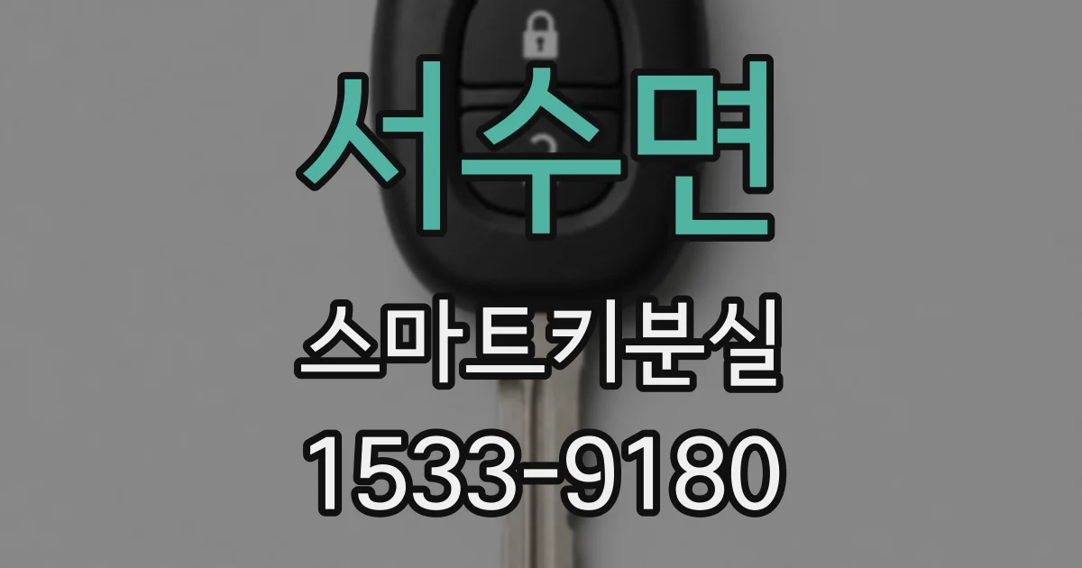서수면 스마트키분실