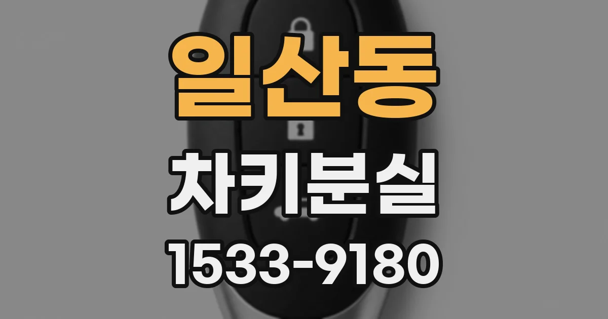 일산동 차키분실