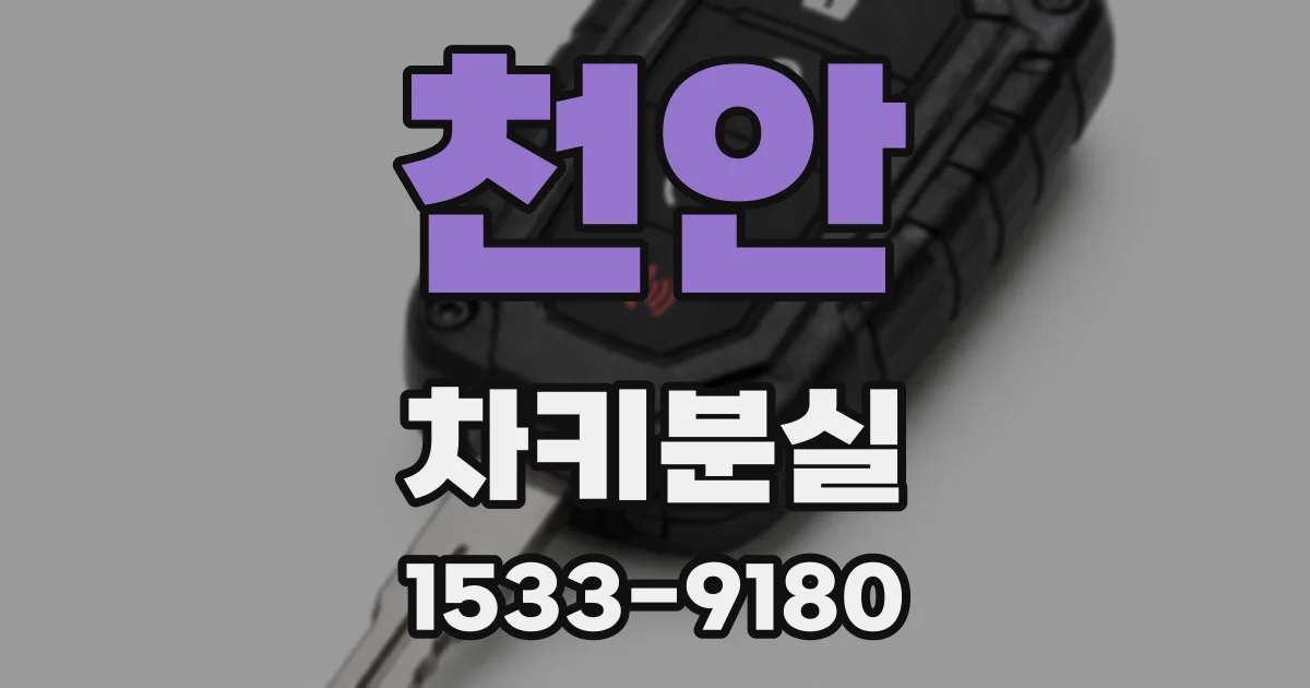 천안 차키분실