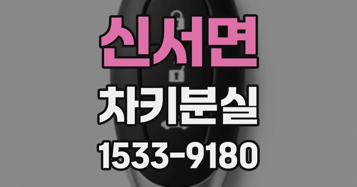 신서면 차키분실