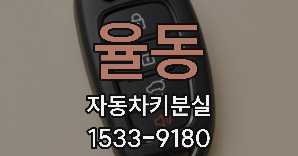 율동 자동차키분실