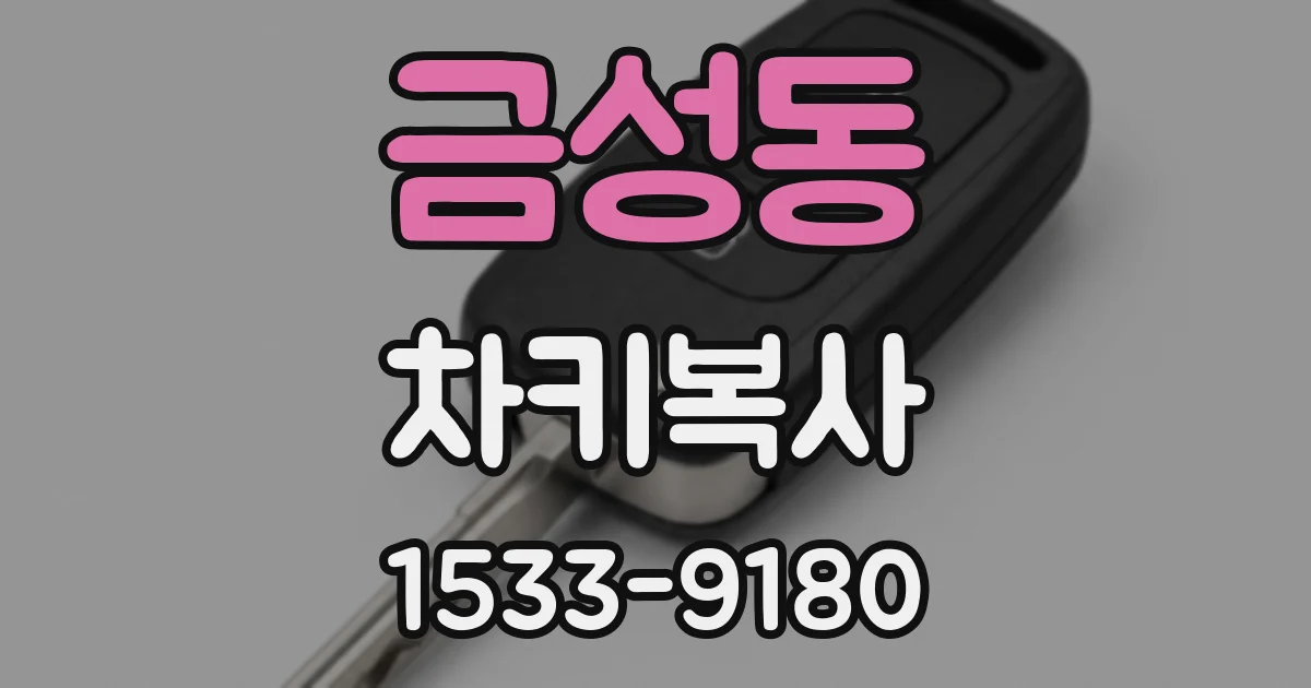 금성동 차키복사