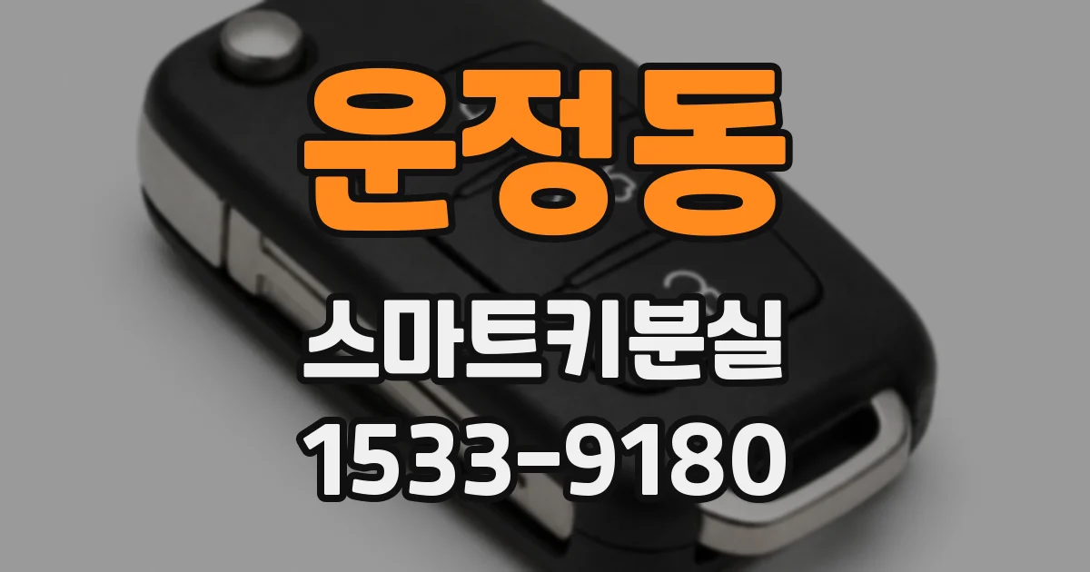 운정동 스마트키분실
