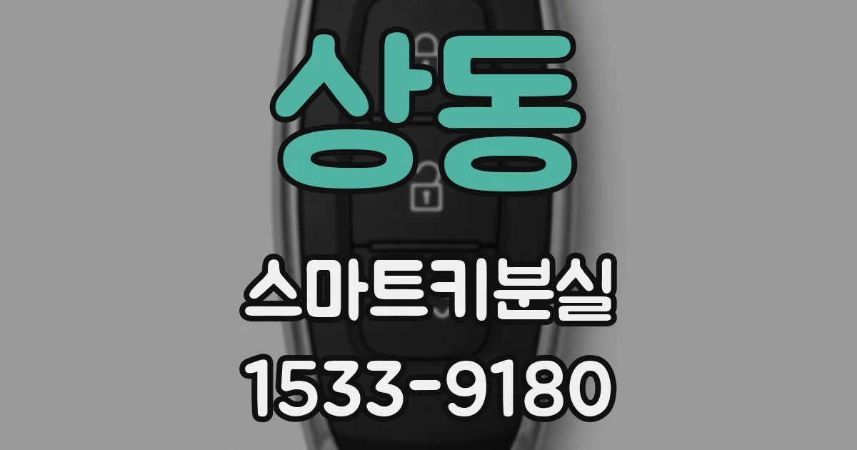 상동 스마트키분실