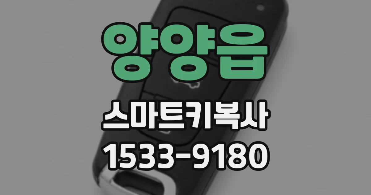 양양읍 스마트키복사
