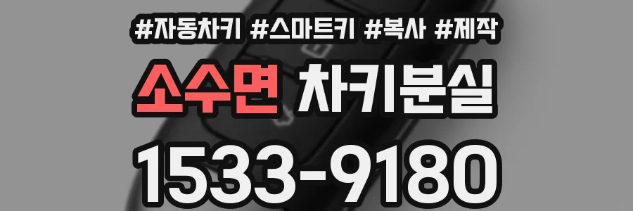 소수면 차키분실