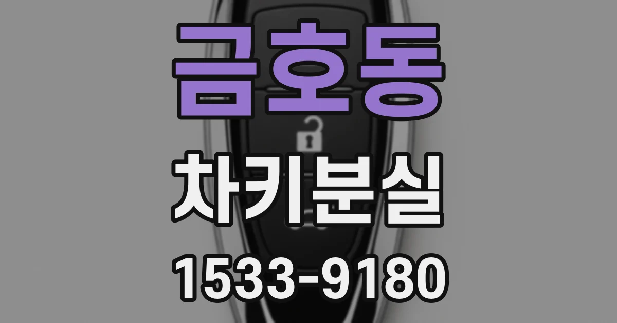 금호동 차키분실