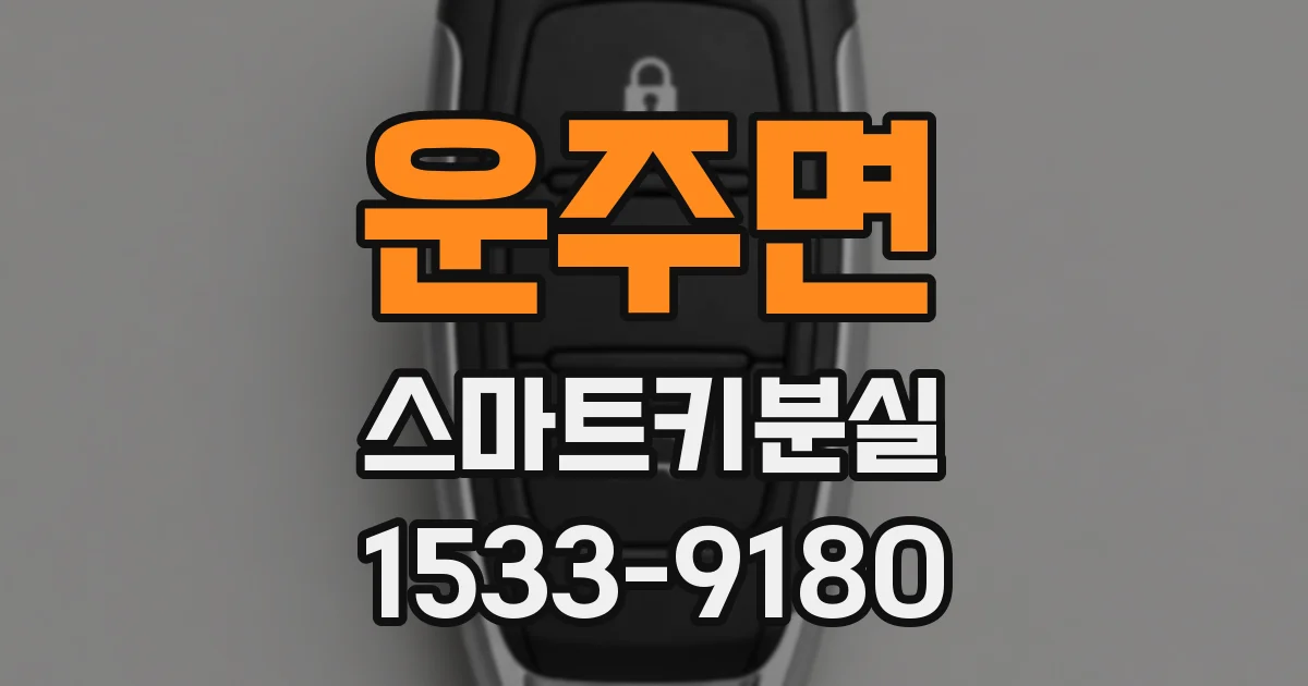 운주면 스마트키분실