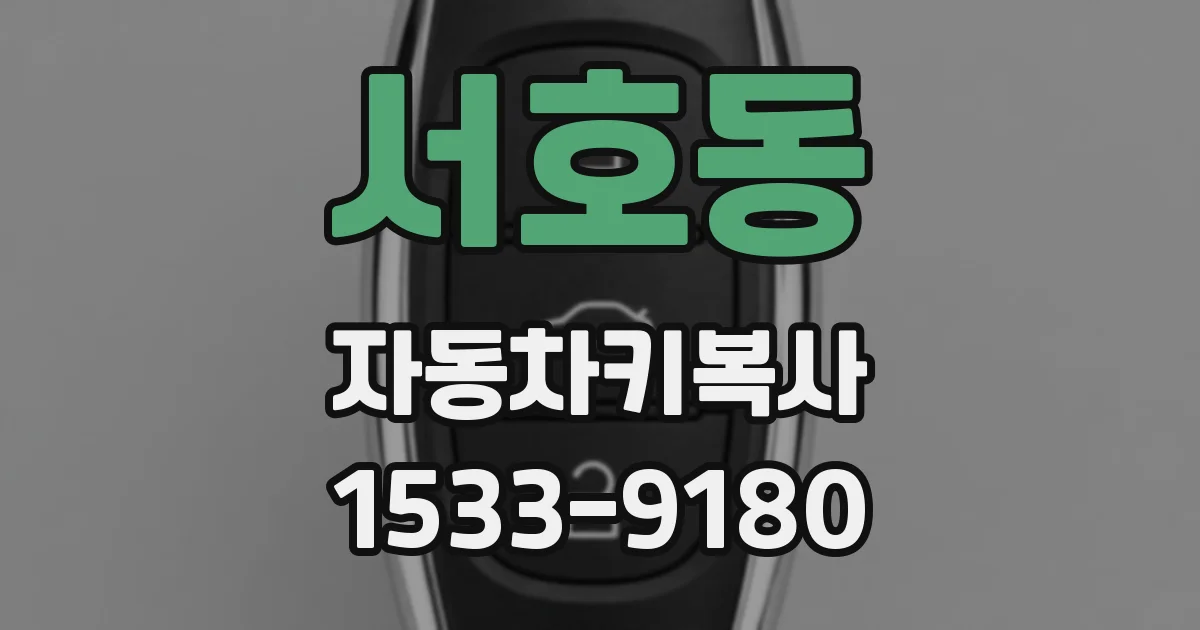 서호동 자동차키복사