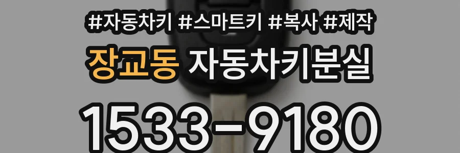 장교동 자동차키분실