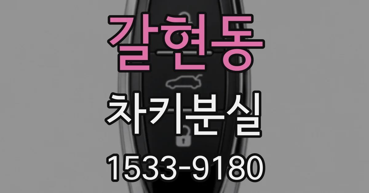 갈현동 차키분실