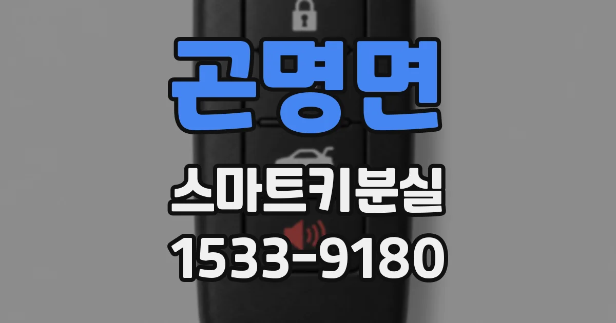 곤명면 스마트키분실