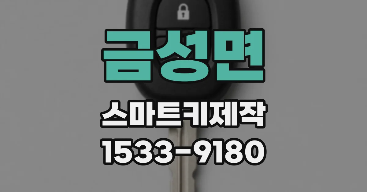 금성면 스마트키제작