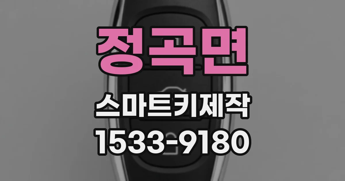 정곡면 스마트키제작