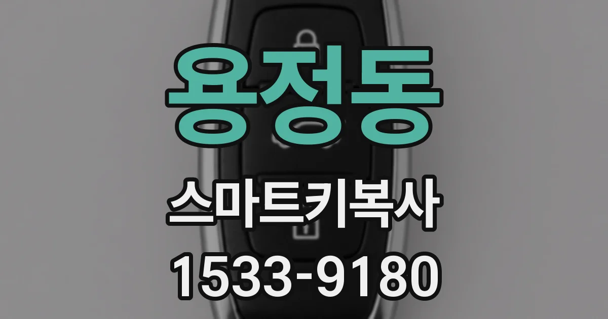 용정동 스마트키복사
