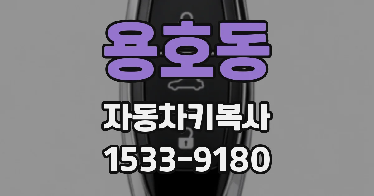 용호동 자동차키복사