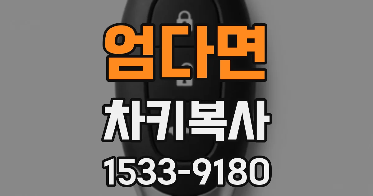 엄다면 차키복사