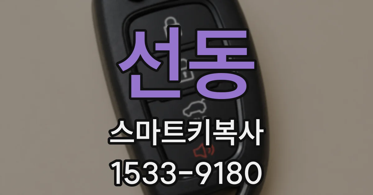 선동 스마트키복사