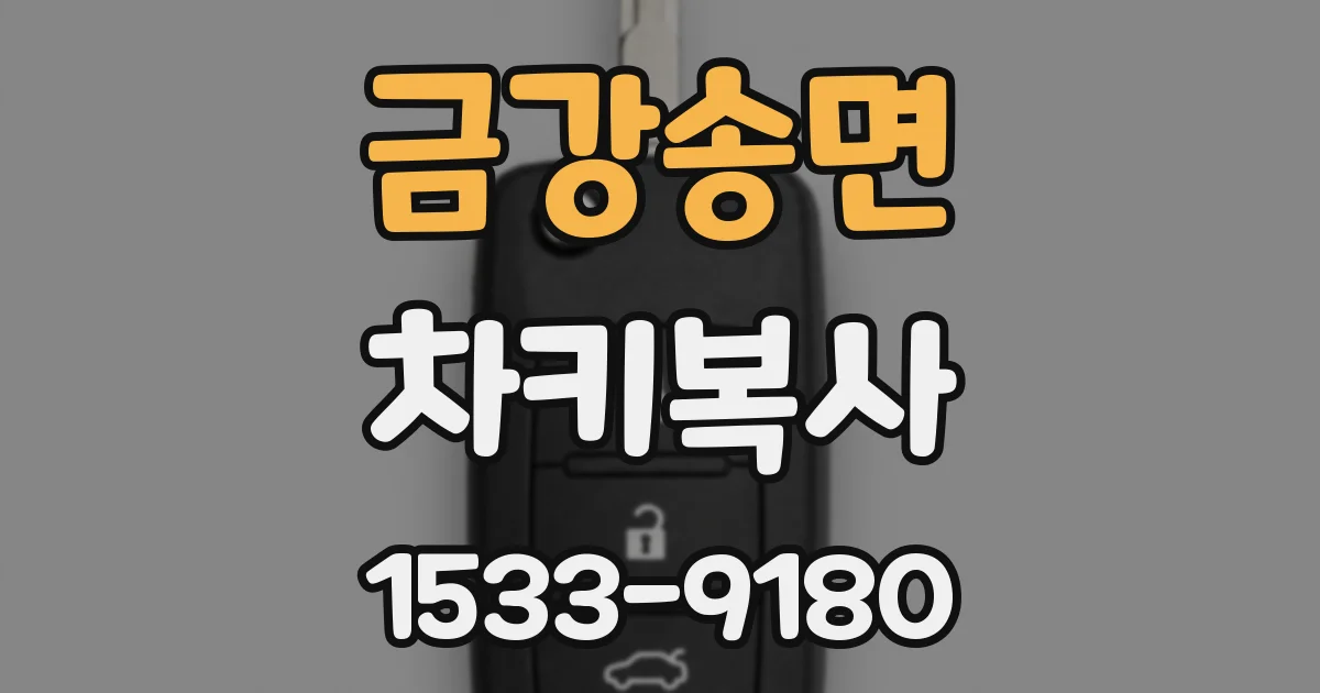 금강송면 차키복사