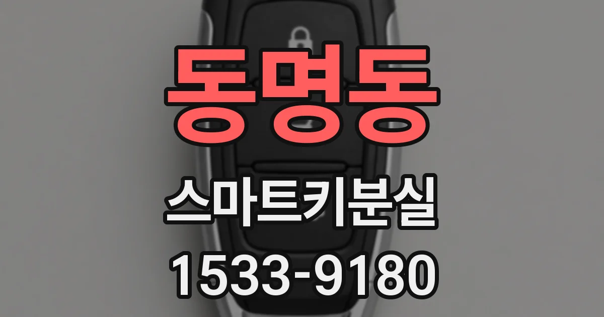 동명동 스마트키분실