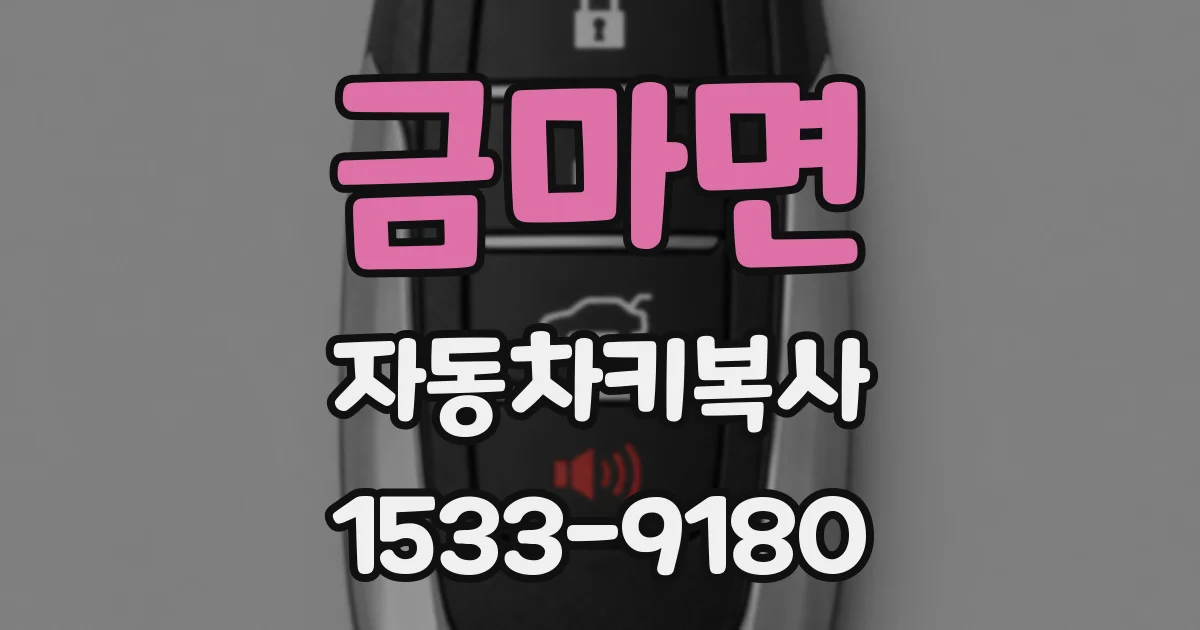 금마면 자동차키복사
