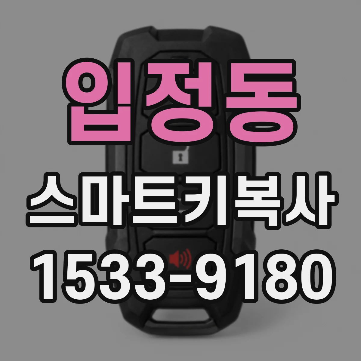 입정동 스마트키복사