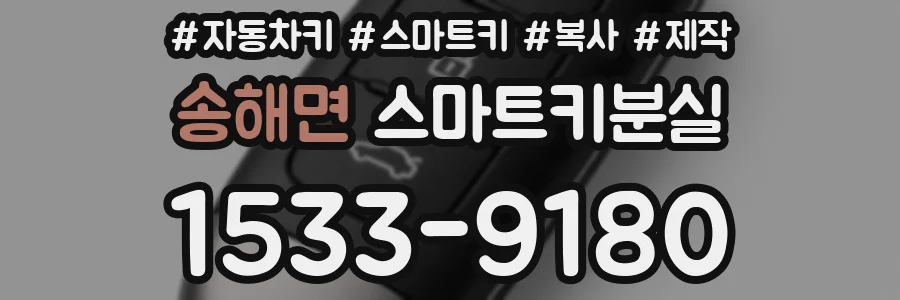 송해면 스마트키분실