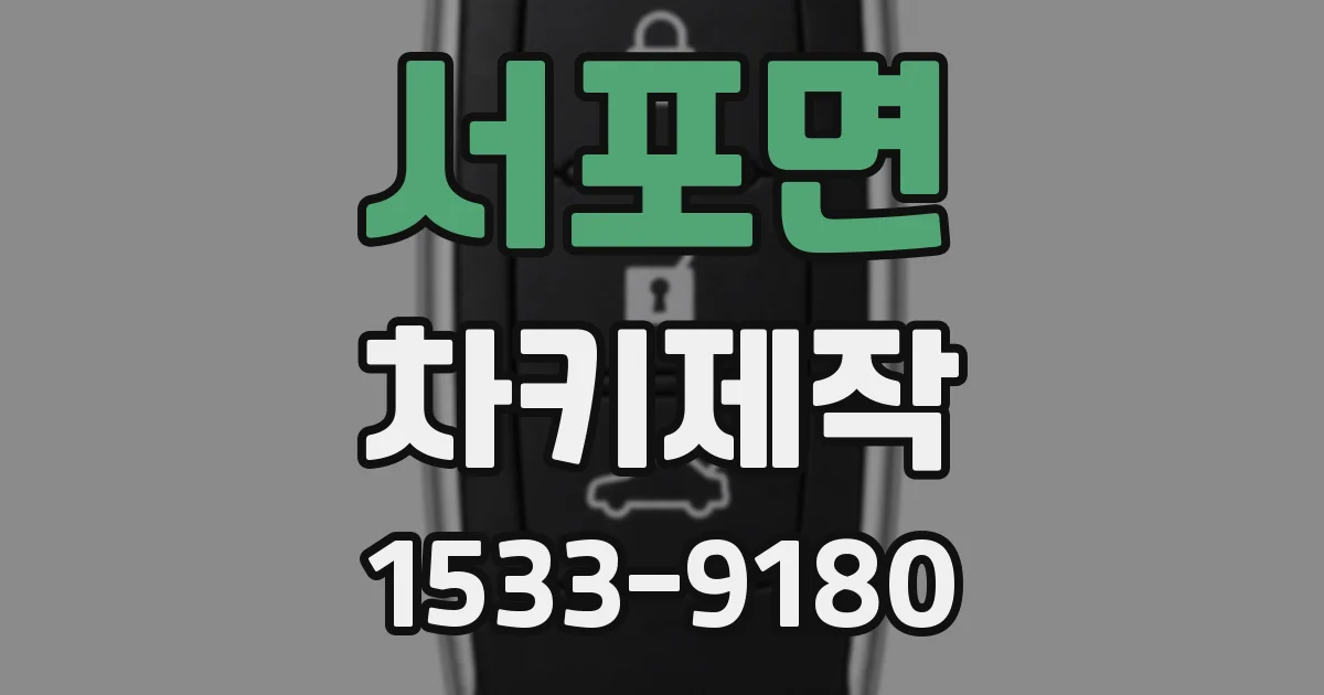 서포면 차키제작